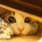 冰蓝天使