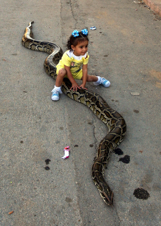 怎样变得胆子大一些 164302.32105027_o.jpg