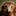 Zoooe… 2314092
