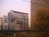 武国平2010 北京
