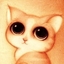 老猫4124118