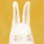 Rabbit_C