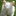 windf… 2457139