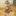 Dayda… 1500518