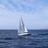 T_Elysia