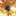 sunshine-shine 1026706