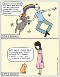 dogs vs cats