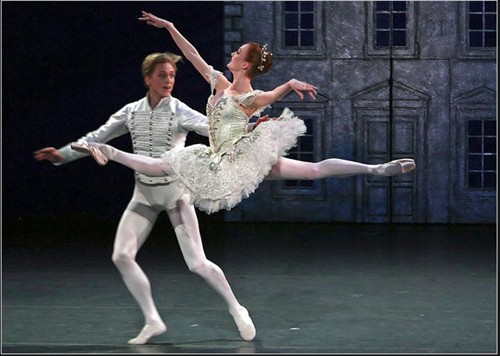 《黑天鹅》天鹅入魔记 警告 剧透 天堂电影小组