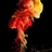 Veil 1129156