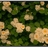 Jane1561078/1561078/1-01-01 00:00