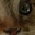 EvenFair