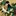 shang… 2700496