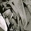kiba4452349
