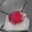 Thanatus468658