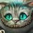 柴郡猫4420495 4420495