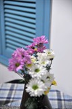 DSC_4570_调整大小