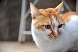 DSC_4626_调整大小