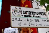 DSC_4730_调整大小