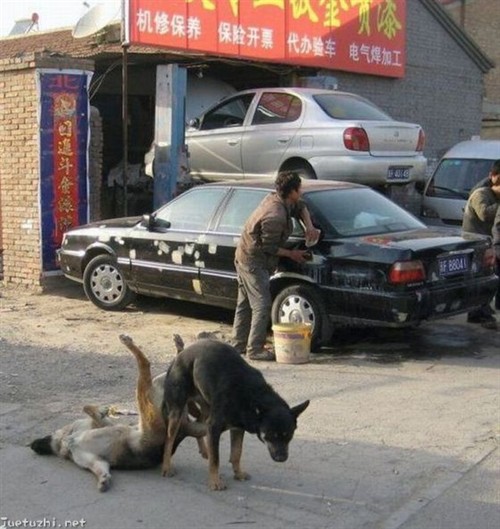 脑子里都是玻璃球弹弓子什么的