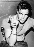 Brando