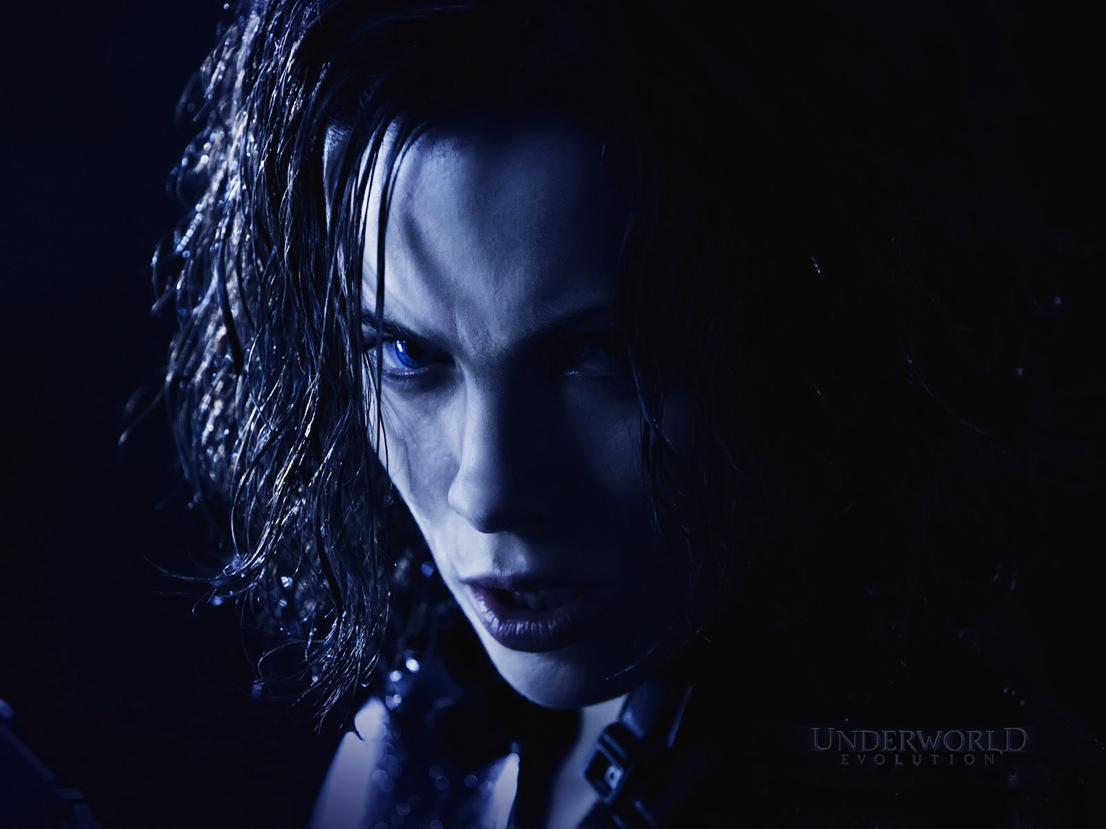 selene-underworld-1168862_1600_1200