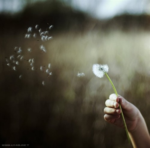 会卑微到尘埃里