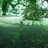 GreenJuan 1573890