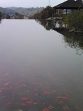 温泉宾馆