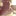 atong1906844 1906844