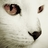 hahapp/807327/1-01-01 00:00
