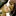 Linking 1492147