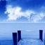 liz_bamboo