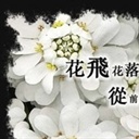 周芷若4681000(4681000)