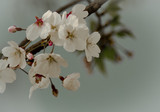 023
