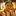 RAYWA… 679567