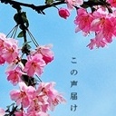 古婺登楼客(4787914)