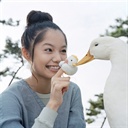 划根火柴就是爱(2374087)