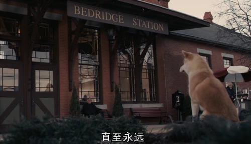 NT SAY IT BY MESELF – 《忠犬八公的故事》