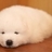 亭宝猪