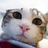 aileencat