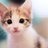 miss_dong