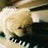 Joyce_Tang