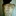 一急就要射 4274557