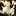Lucif… 5097676