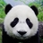 De_Panda成宇