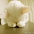 俺家有猫