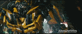 I love Bumblebee (1)