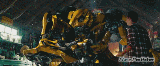 I love Bumblebee (2)