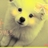 云轩军/5389449/1-01-01 00:00