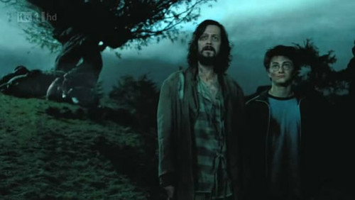 哈利波特小天狼星